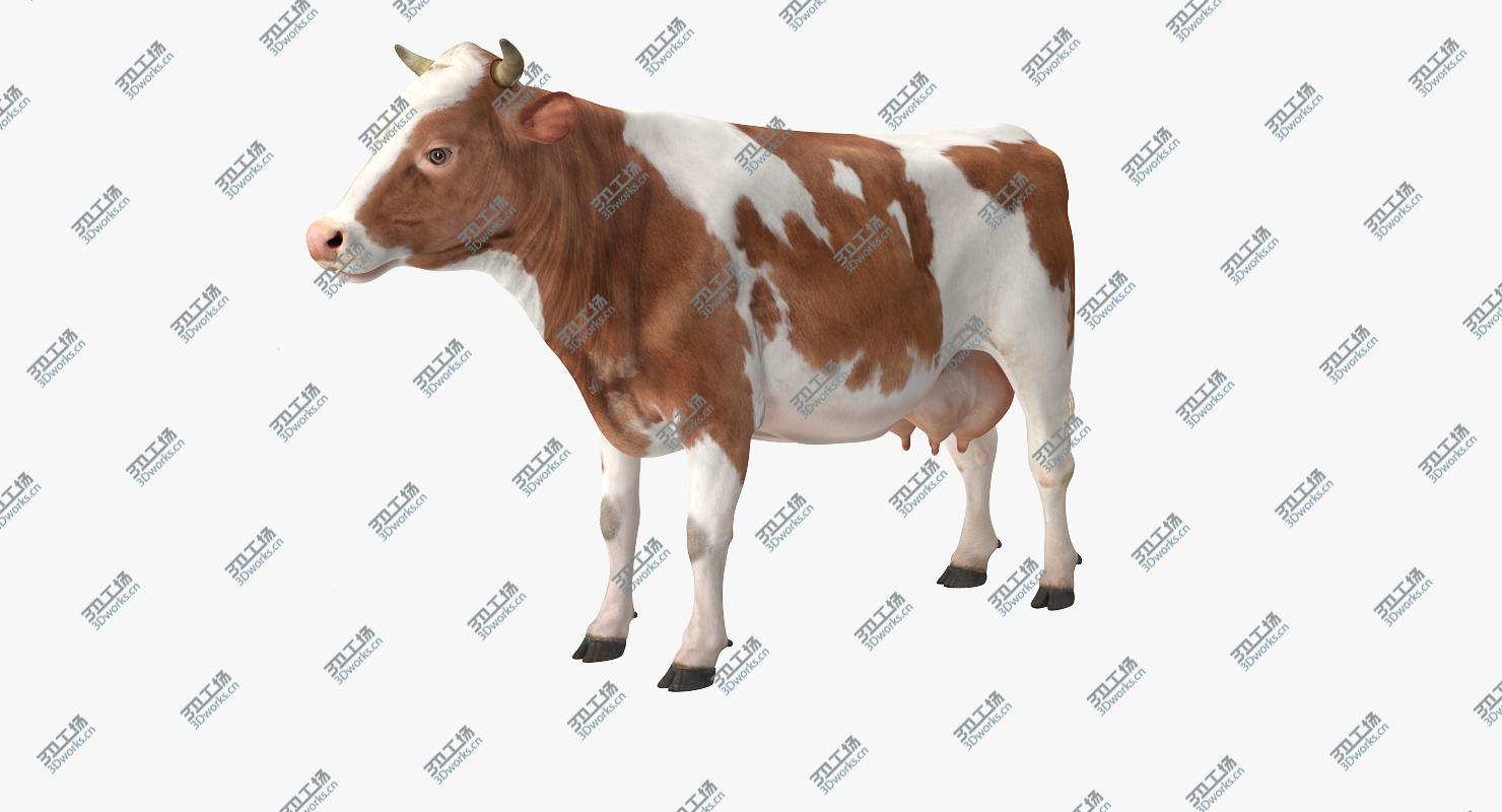 images/goods_img/20210319/Cow Rigged model/4.jpg